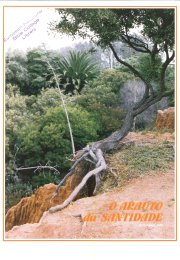 O ARAUTO DA SANTIDADE - SETEMBRO 1987