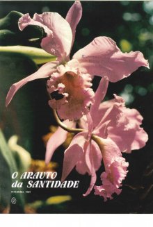 O ARAUTO DA SANTIDADE - FEVEREIRO 1989