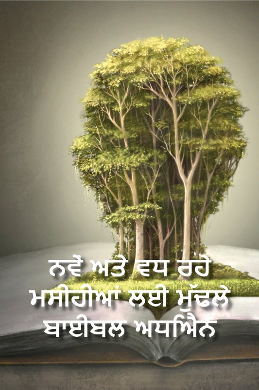 Basic Bible Study Cover in Punjabi