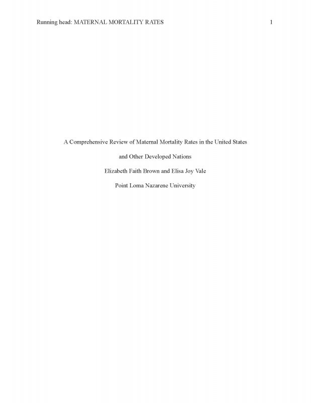 A Comprehensive Review of Maternal Mortality Rates in the United States and Other Developed Nations