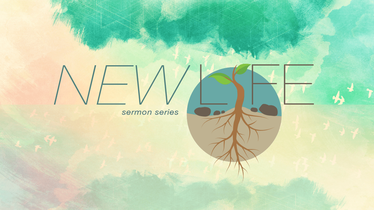 New Life: A Real Chance at Real Change